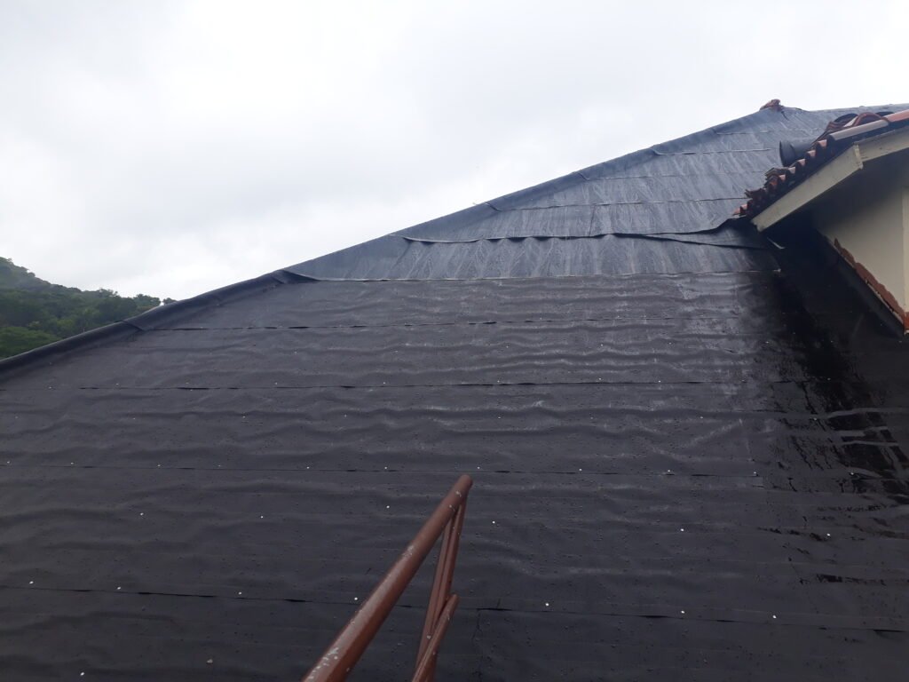 TRABAJOS DE ALTURA-MANTENIMIENTO DE TECHOS - EDIFICIO 801 ALBROOK