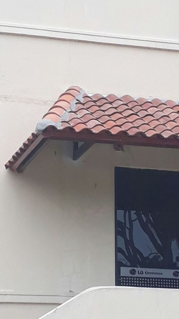 TRABAJOS DE ALTURA-MANTENIMIENTO DE TECHOS - EDIFICIO 801 ALBROOK