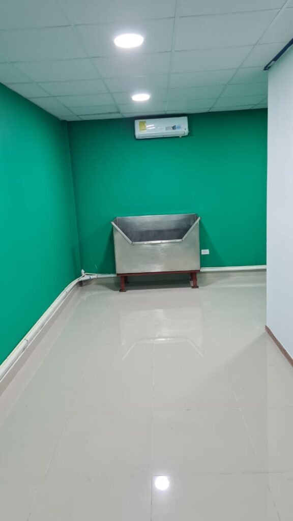 REMODELACIÓN - CLÍNICA VETERINARIA-HULK